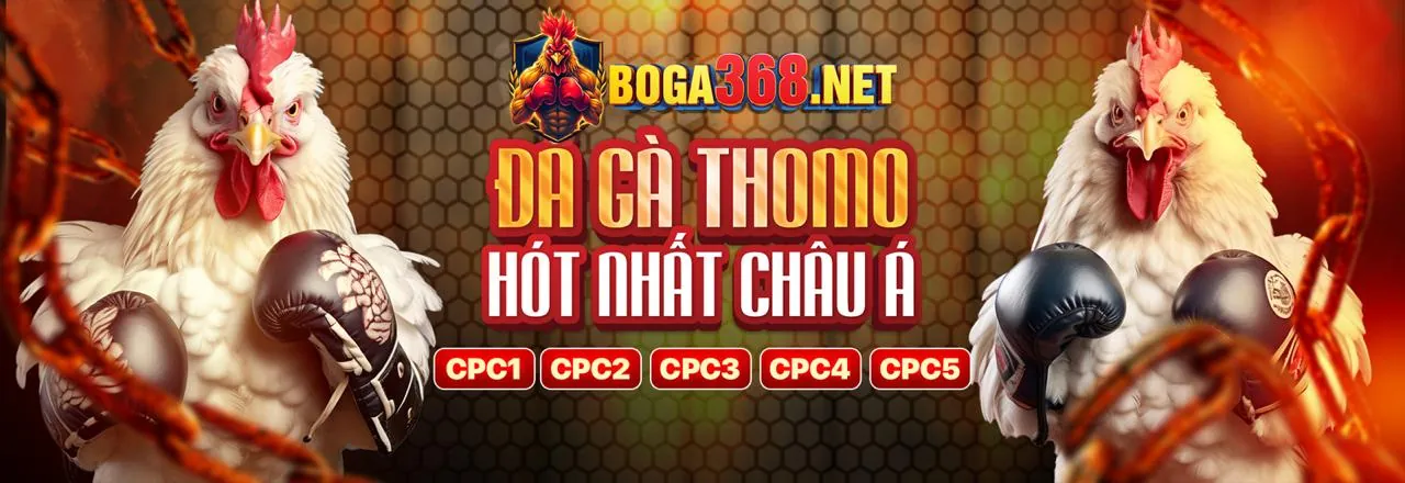 Đá Gà Trực Tuyến Hấp Dẫn tại 01TR88