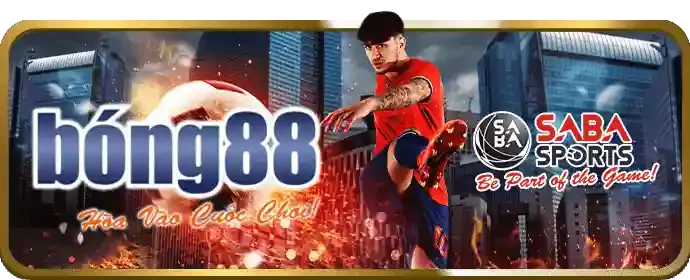 Tin tức thể thao 01tr88